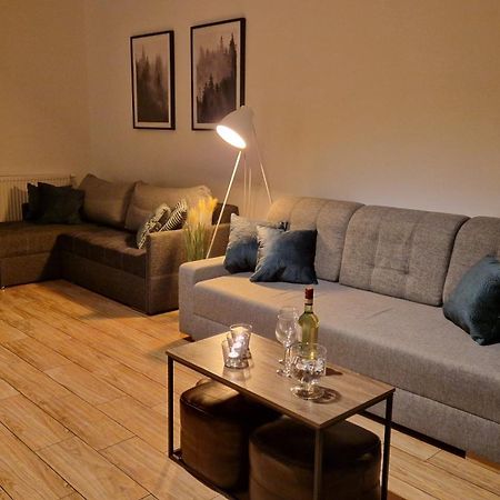 Monia Apartment Swieradow-Zdroj Exterior photo